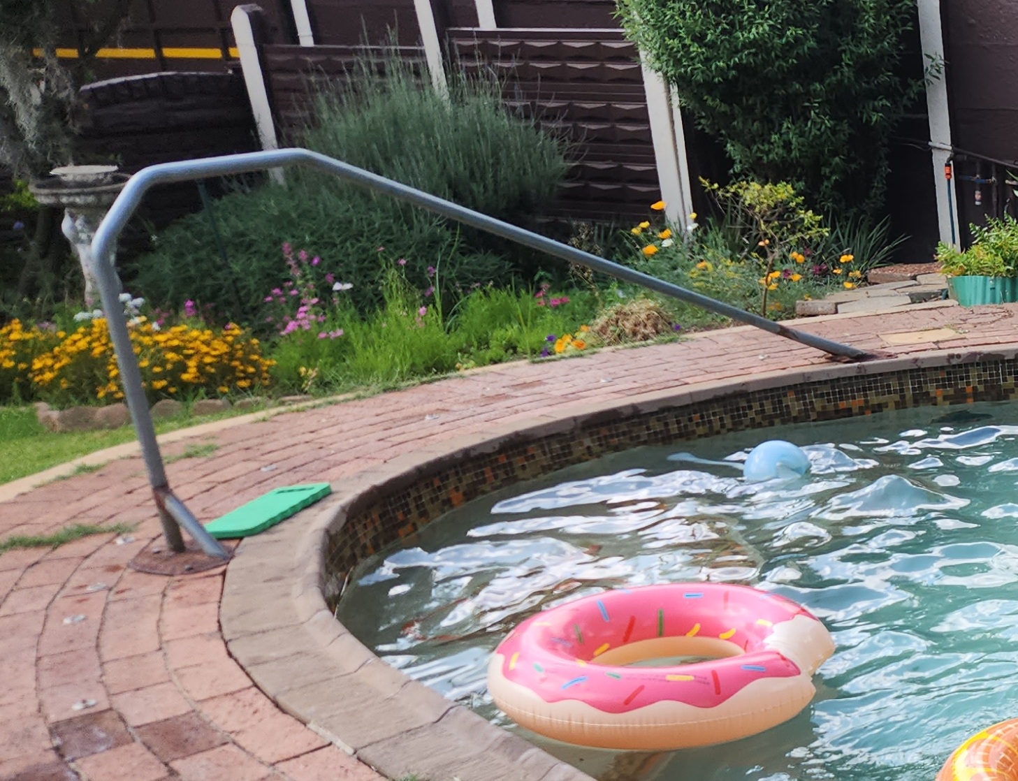 Pool access rail